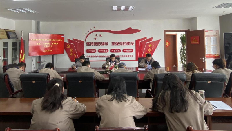 以案促改轉(zhuǎn)作風(fēng) 堅(jiān)守底線樹(shù)新風(fēng)   &mdash;&mdash;青海物產(chǎn)朝陽(yáng)物流開(kāi)發(fā)投資有限公司支部委員會(huì)開(kāi)展&ldquo;以案促改&rdquo;作風(fēng)建設(shè)專項(xiàng)大討論