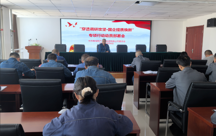 工投公司黨委召開&ldquo;穿透調(diào)研攻堅&middot;國企提質(zhì)煥新&rdquo;專項(xiàng)行動動員部署會