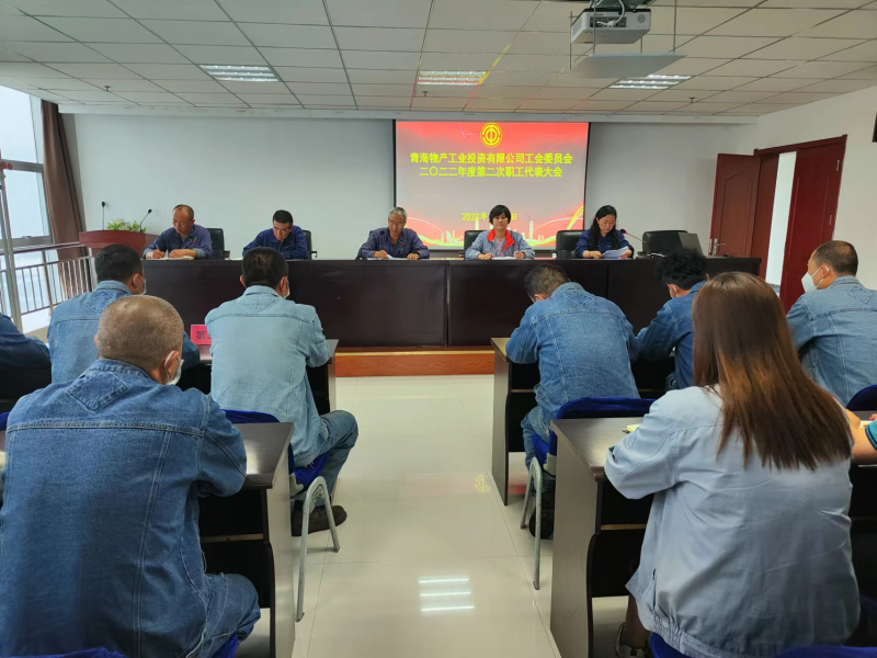 搭好連心橋 落實(shí)暖心事&mdash;&mdash;物產(chǎn)工投公司工會(huì)召開2022年度第二次職工代表大會(huì)