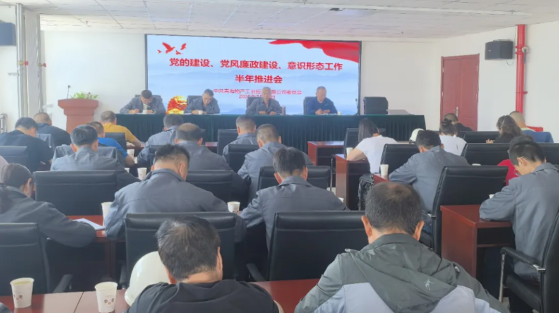 工投公司黨委召開黨的建設(shè)、黨風(fēng)廉政建設(shè)、意識(shí)形態(tài)工作半年推進(jìn)會(huì)